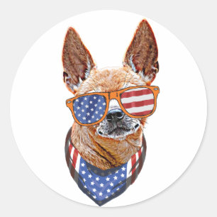 Adesivo Cachorro Chihuahua EUA Independência Americana 4 d