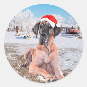 Adesivo Cachorro Cute Great Dane Sentado Na Neve Chapéu de