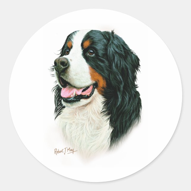 Adesivo Cachorro da Montanha Bernese (Frente)