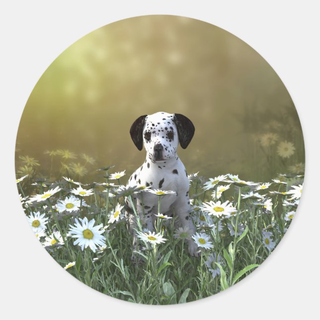 Adesivo Cachorro Dalmaciano em Daisies (Frente)