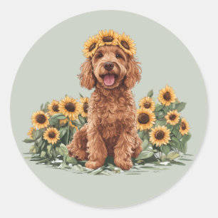Adesivo Cachorro de Goldenododododle Cute Vestindo Uma Cor