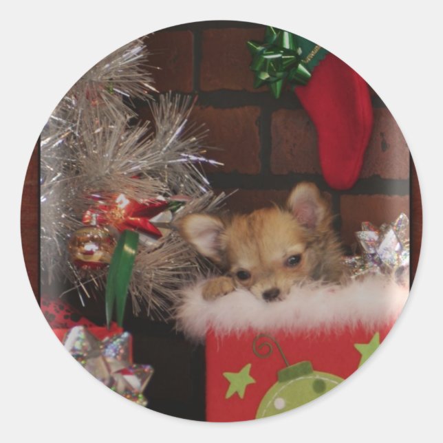 Adesivo Cachorro de Natal Chihuahua Puppy Na Caixa (Frente)