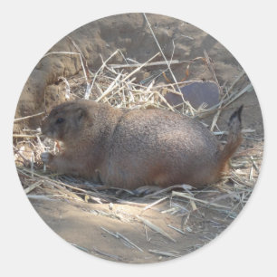Adesivo Cachorro de Prairie Negra