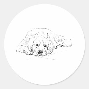 Adesivo Cachorro dourado dormindo, Desenho de cachorro