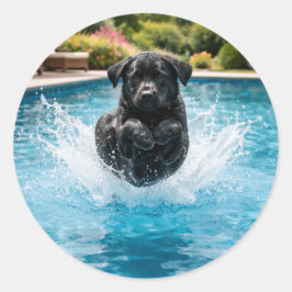 Adesivo Cachorro engraçado Canonball Festa de piscina de v