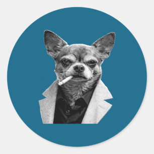 Adesivo Cachorro Engraçado Fumando Cigarro Chihuahua Meme
