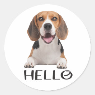 Adesivo Cachorro Filhote Beagle Fofo Olá Saudade Amizade