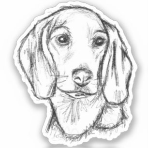 Adesivo cachorro filhote dachshund preto branco esboço sim