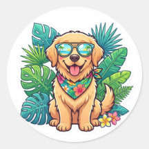 Cachorro Golden Retriever Óculos de Sol Verão Trop