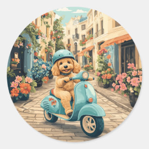 Adesivo Cachorro Goldendoodle andando de scooter pelas rua