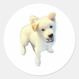 Adesivo Cachorro Kintamani em Pé - Arte de Corpo Inteiro -