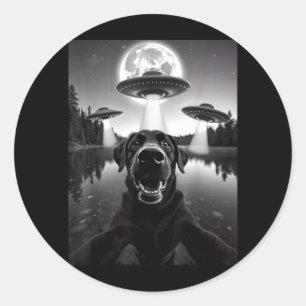 Adesivo Cachorro Labrador Labrinto Preto Engraçado Selfie