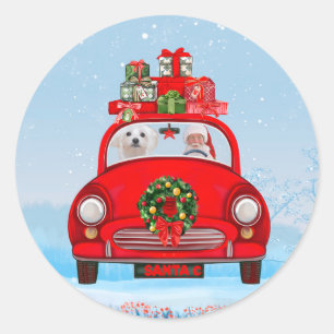Adesivo Cachorro Maltês No Carro Com Papai Noel