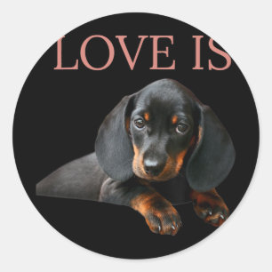 Adesivo Cachorro Pai Homens Mulheres Crianças Dando Doxie