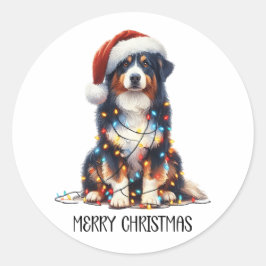 Adesivo Cachorro-pastor australiano molhado à luz de Natal