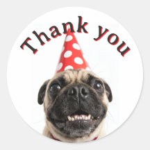 Cachorro Pug Fofo de Aniversário com Chapéu Vermel