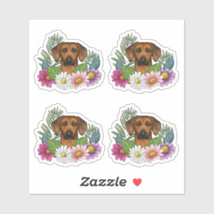 Adesivo Cachorro Rhodesian Ridgeback Cabeça e Flores Color