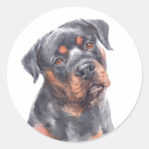 Adesivo  Cachorro Rottweiler Aquarela Fofinho