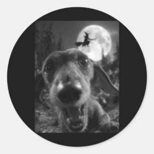 Adesivo Cachorro Salsicha Engraçado Selfie Lua Cheia Bruxa