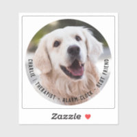 Cachorro Sentimental Cute Cheeky Citando Foto