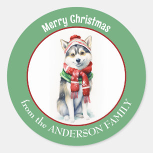 Adesivo Cachorro Siberiano Husky em Red Christmas Scarf an