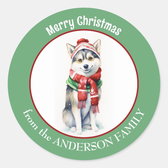Adesivo Cachorro Siberiano Husky em Red Christmas Scarf an (Frente)
