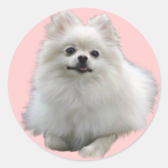 Adesivo Cachorros (Frente)