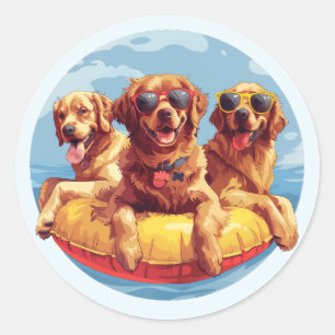 Adesivo Cachorros de ouro para varejo Piscinas de verão