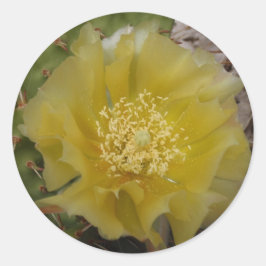 Adesivo Cacto Amarelo em Flor