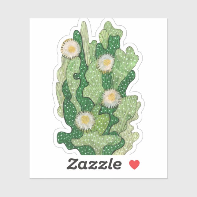 Adesivo Cacto florescente, flores suculentas, plantas do d (Folha)