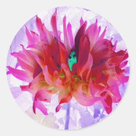 Adesivo Cactus Dahlia Vermelho e Rosa Quente