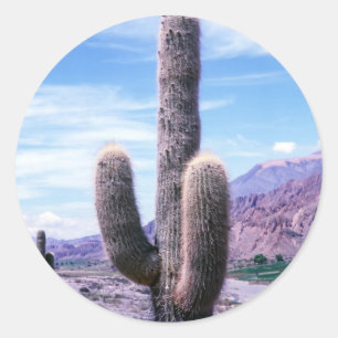 Adesivo Cactus na província de Jujuy - Norte Argentina