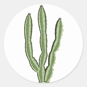 Adesivo Cactus Stickers