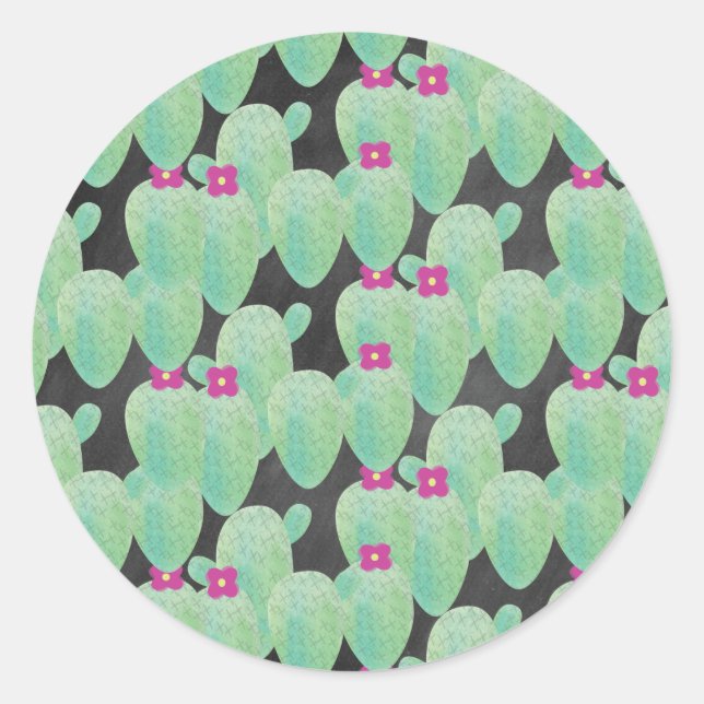 Adesivo Cactus Suculento Bonito | Plantas domésticas Coran (Frente)