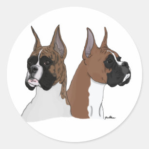 Adesivo Cães Boxer