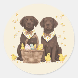Adesivo Cães Chocolate Labrador Retriever da Páscoa