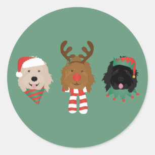 Adesivo Cães de Goldendoodle de Natal