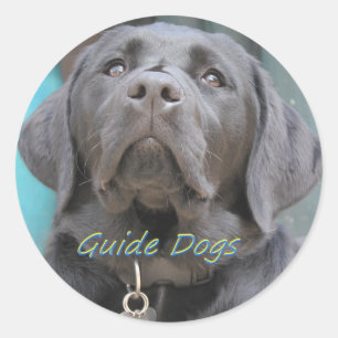 Adesivo Cães de guia - cruz preta do laboratório