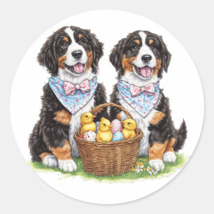 Adesivo Cães de Montanha Bernese páscoas