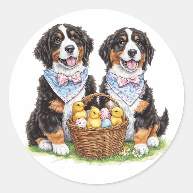 Adesivo Cães de Montanha Bernese páscoas (Frente)