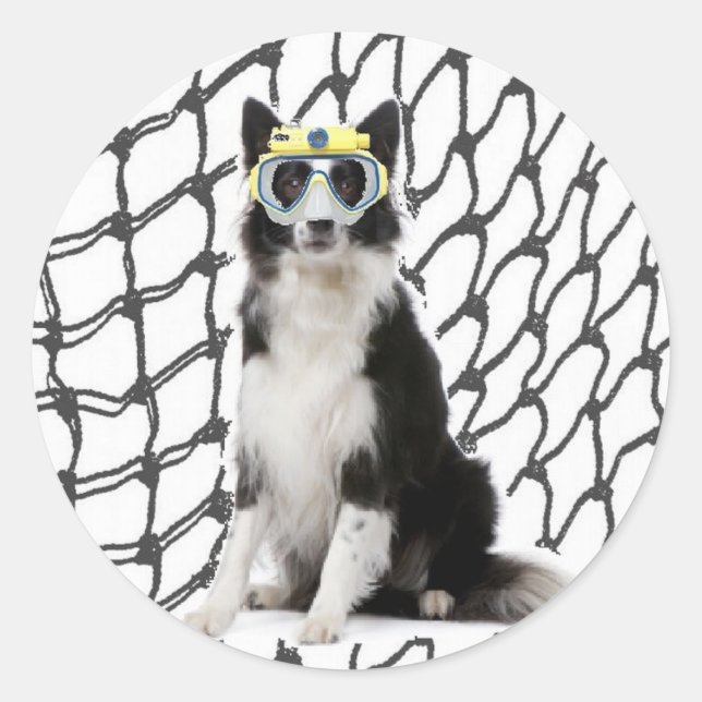 Adesivo Cães Ditzy~Adesivo Original~Collie de Borda (Frente)