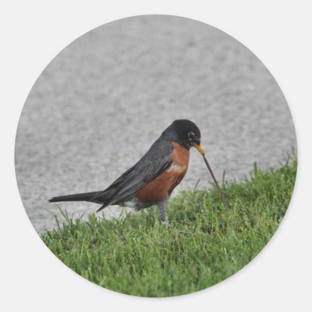 Adesivo Café da manhã (Frente)