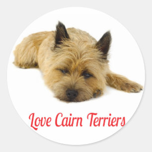 Adesivo Cairn Terrier Cão Cachorro Saudação