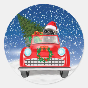 Adesivo Cairn Terrier Cão Dirigindo Carro Na Neve Natal