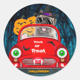 Adesivo Cairn Terrier Dirigindo Carro Assustador Halloween