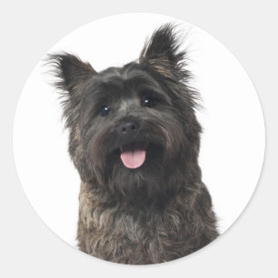 Adesivo Cairn Terrier Puppy Dog