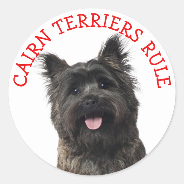 Adesivo Cairn Terrier Puppy Dog Stickers "CAIRNS RULE" (Frente)