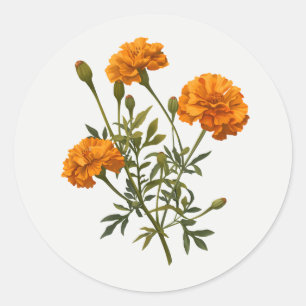 Adesivo Calêndula Dourado amarelo Flor de Jardim arte flor