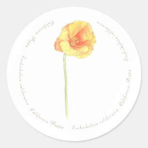 Adesivo California Poppy