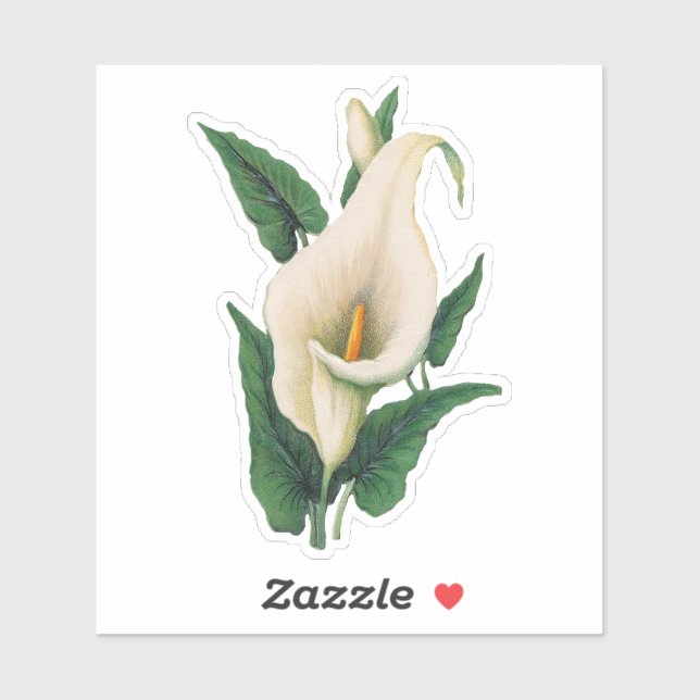 Adesivo Calla Lily Sticker (Folha)